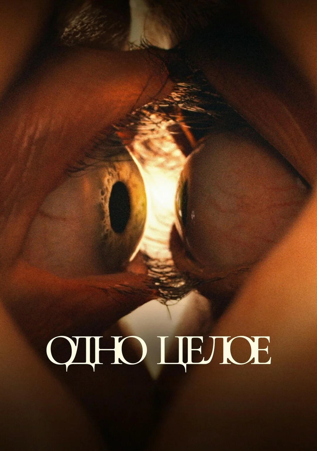 Одно целое