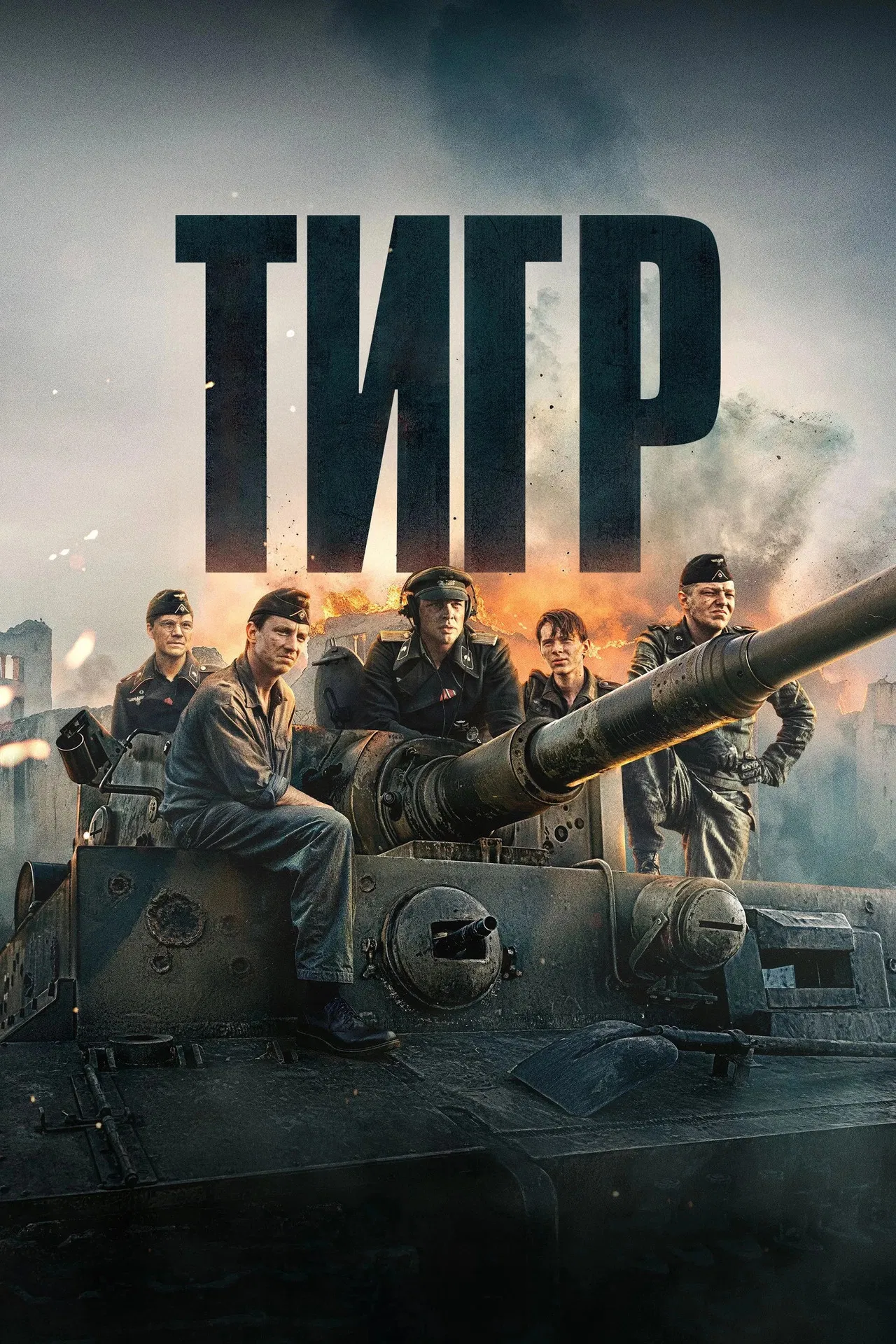 Тигр